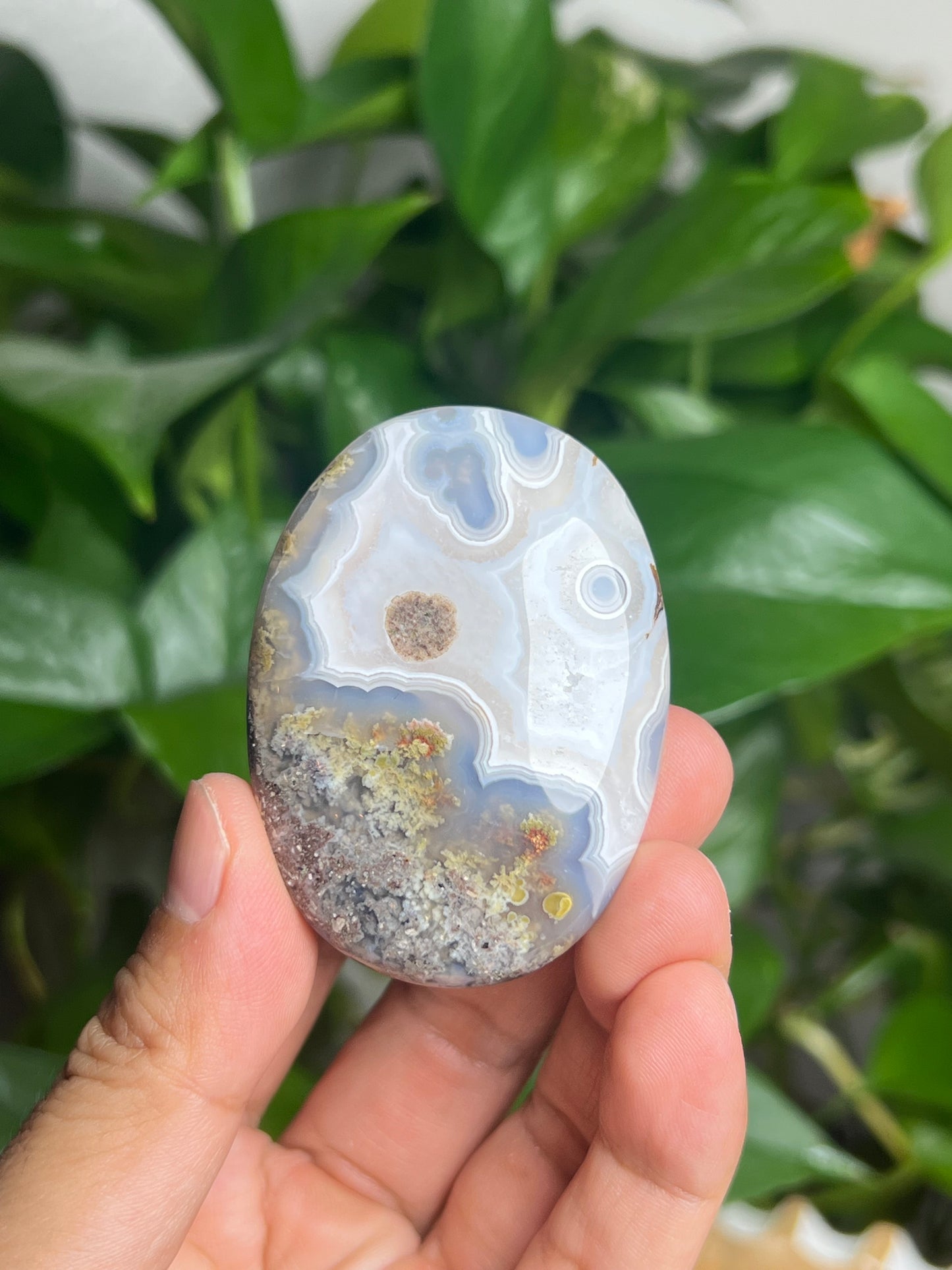Scenic Moss Agate Palmstone: Qi