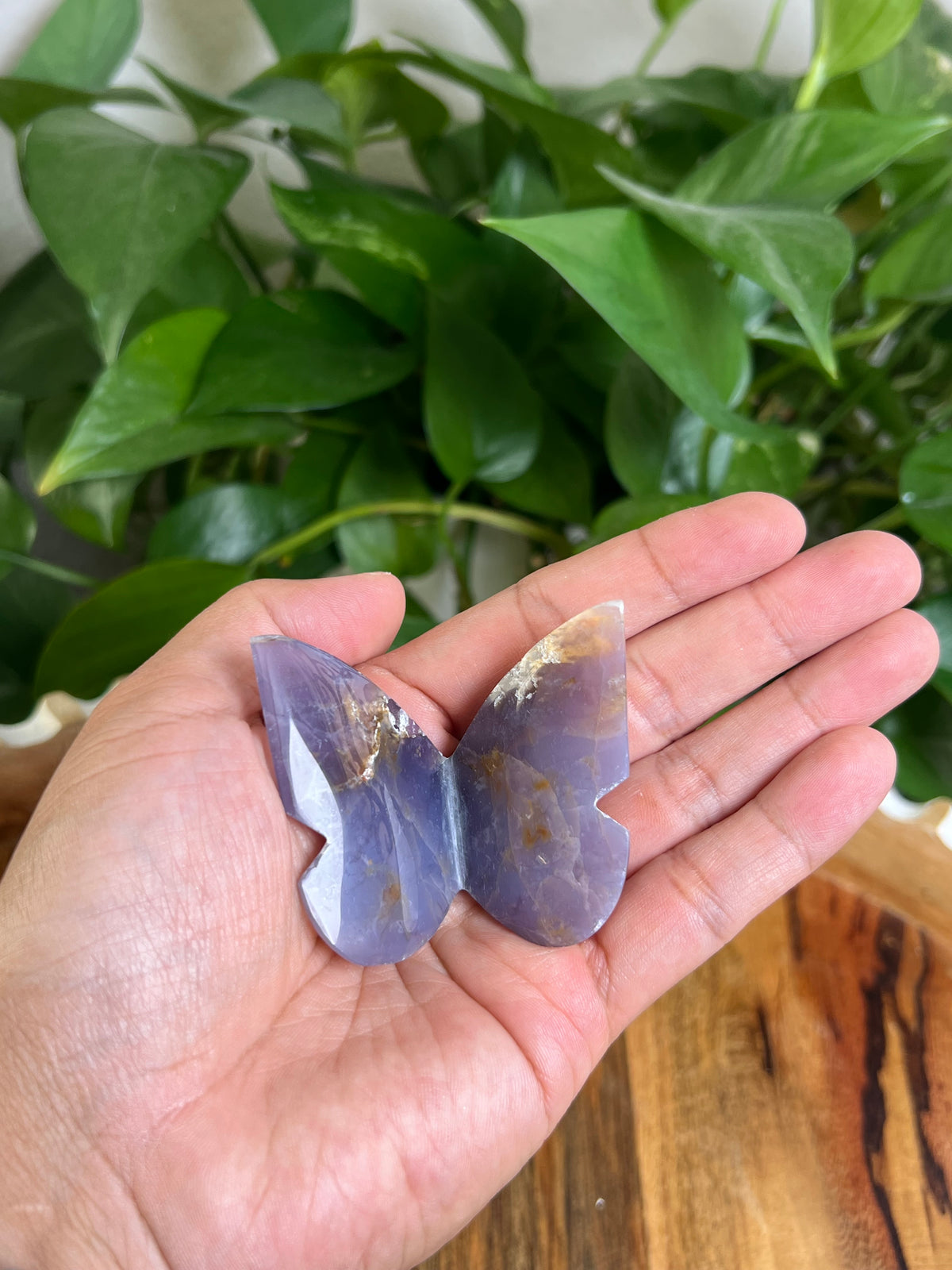 Purple Chalcedony 3D Butterfly: TV