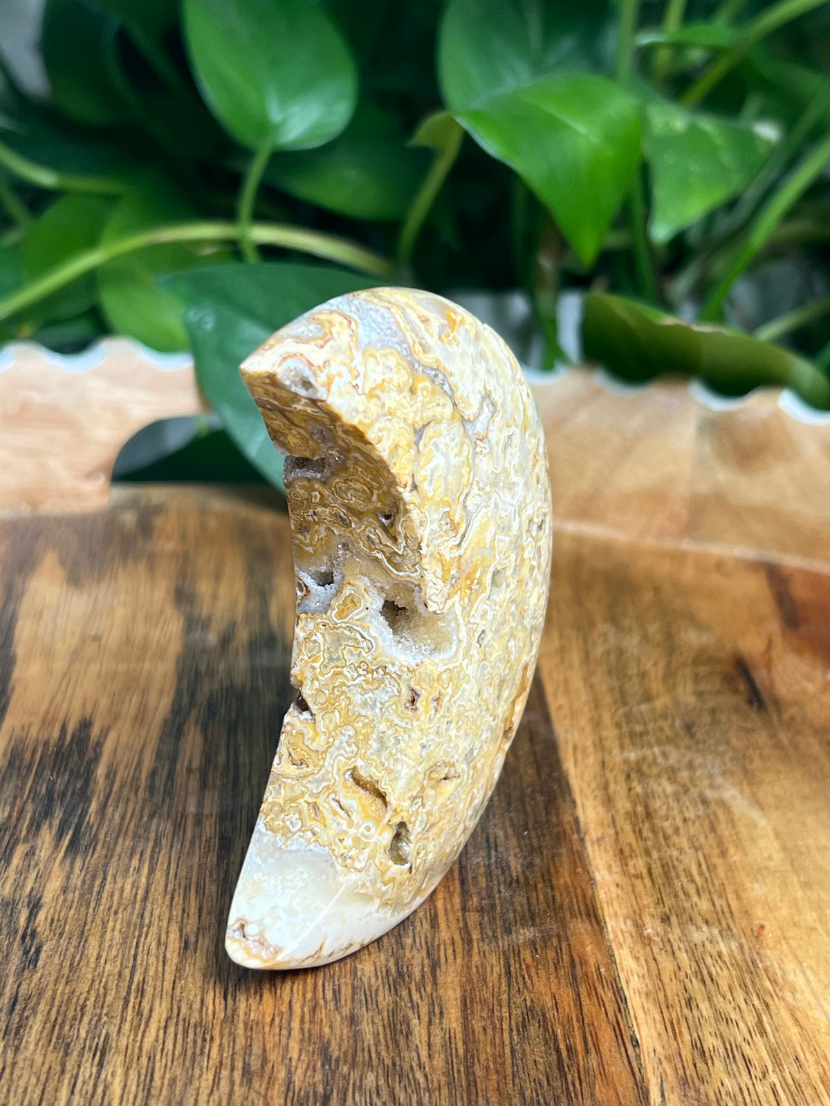 Crazy Lace Agate Self Standing Moon: CC