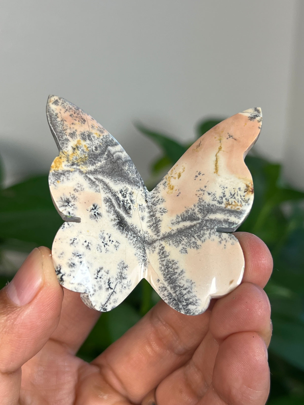Peachy Pink Dendritic Jasper 3D Butterflies