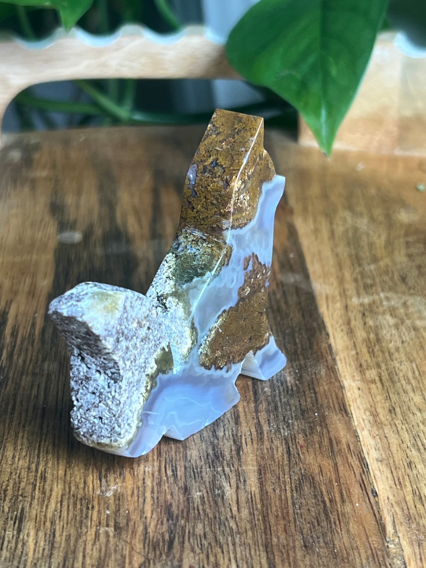Scenic Moss Agate Fox PC