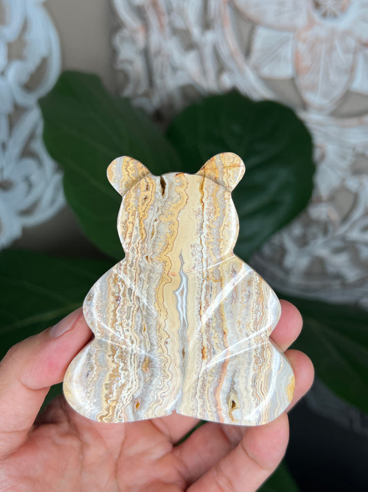 Crazy Lace Agate Bear