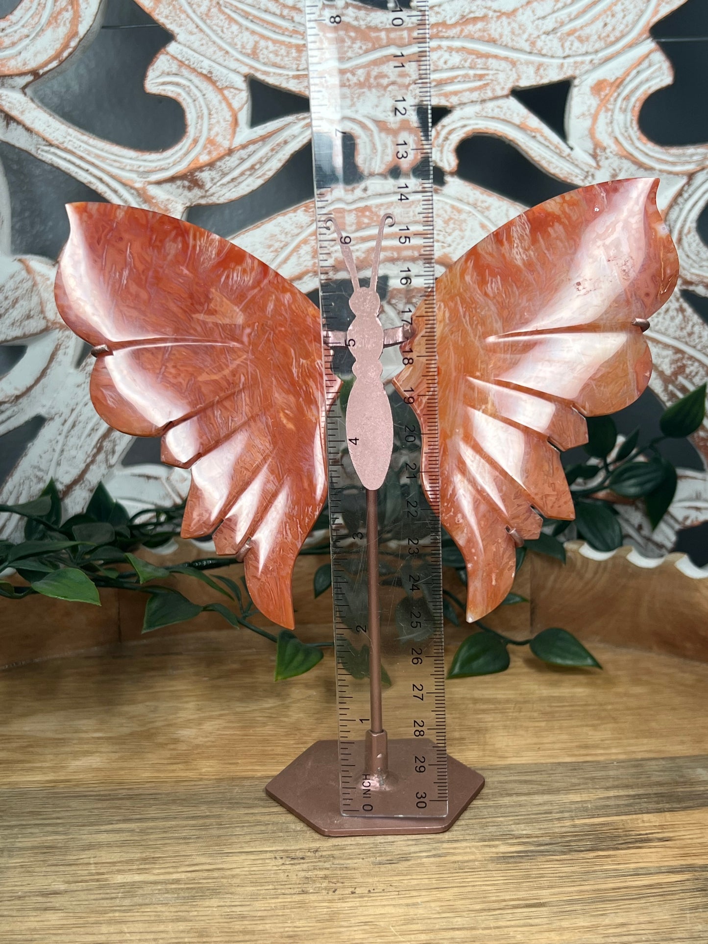 Carnelian Wings
