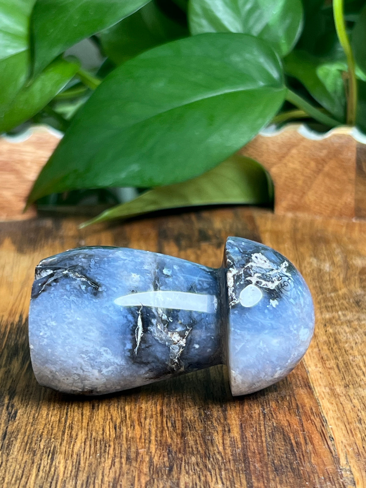 Blue Plume Agate Mushroom: CF