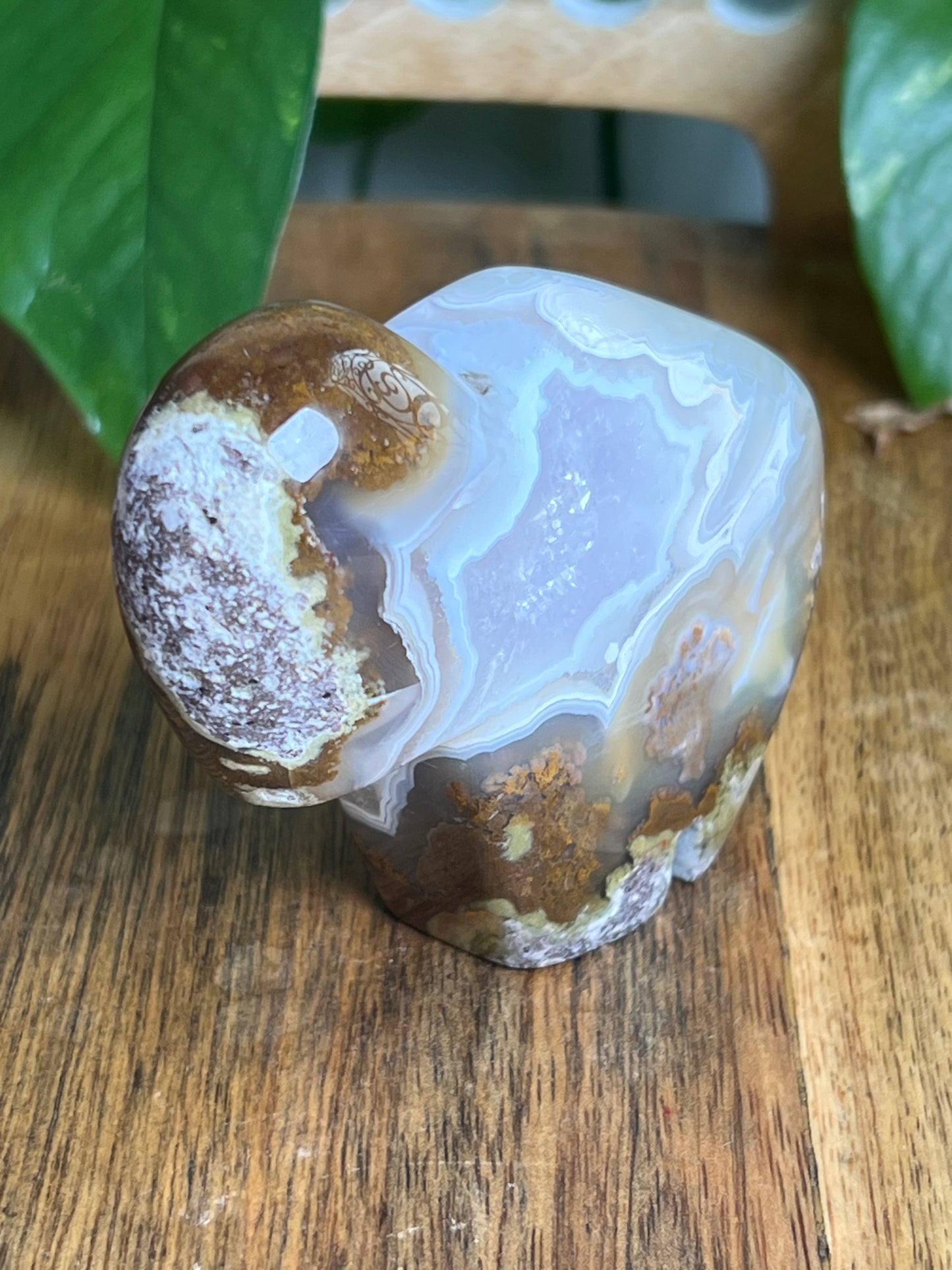 Scenic Moss Agate Buffalo NY