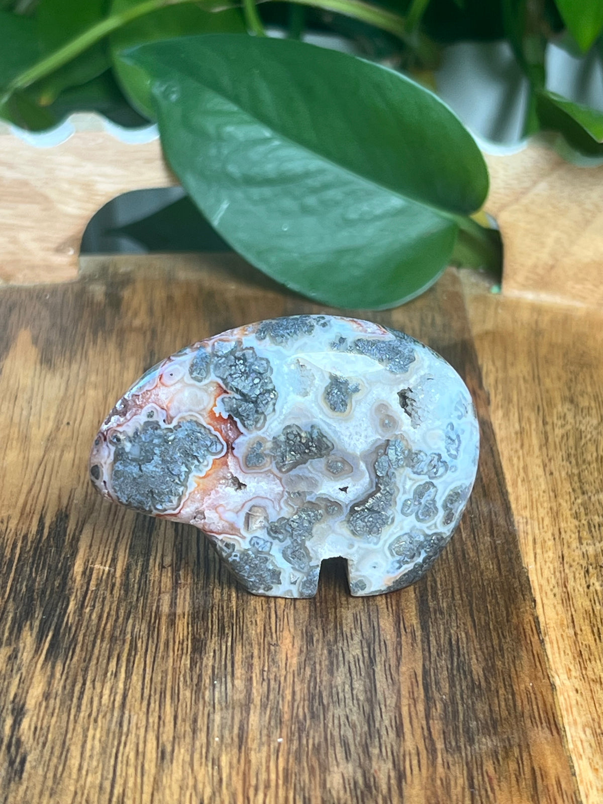 Marcasite Bear: BA