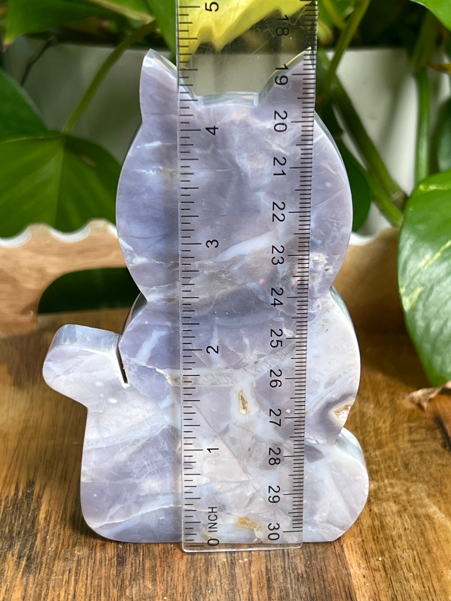 Purple Chalcedony Cat PS