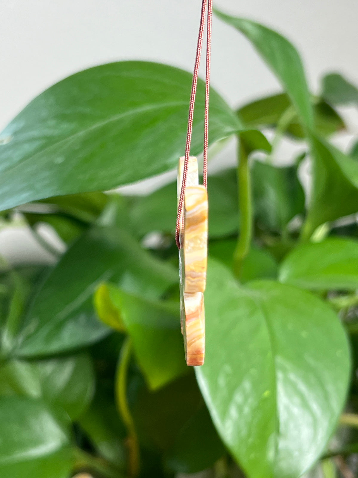 Crazy Lace Agate Ornament Butterfly:  BD