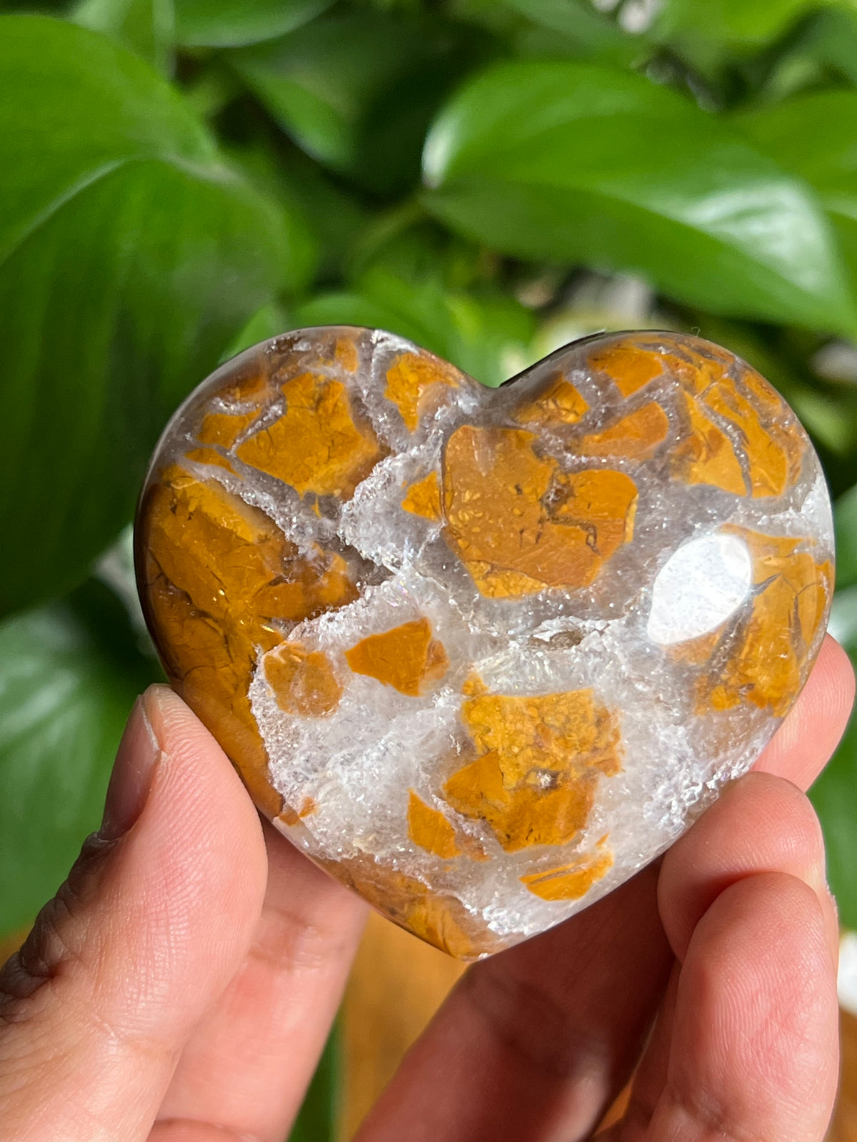 Brecciated Jasper Hearts