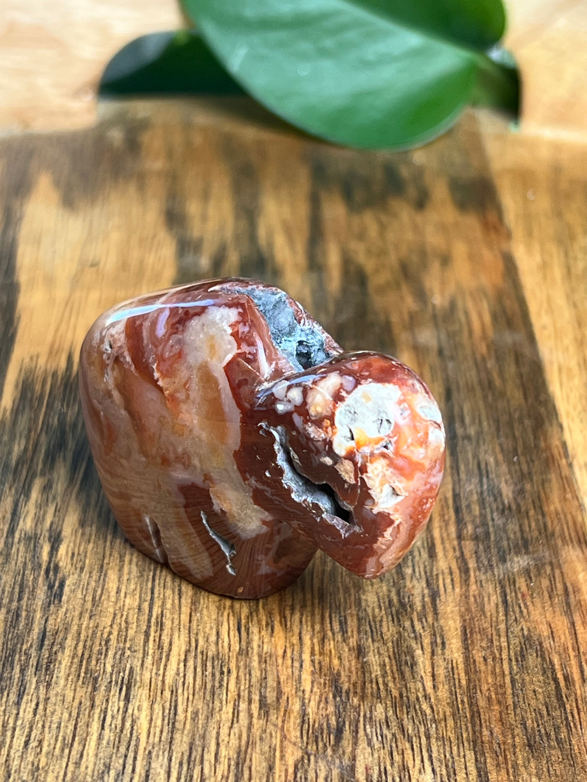 Carnelian Mini Buffalo: BH