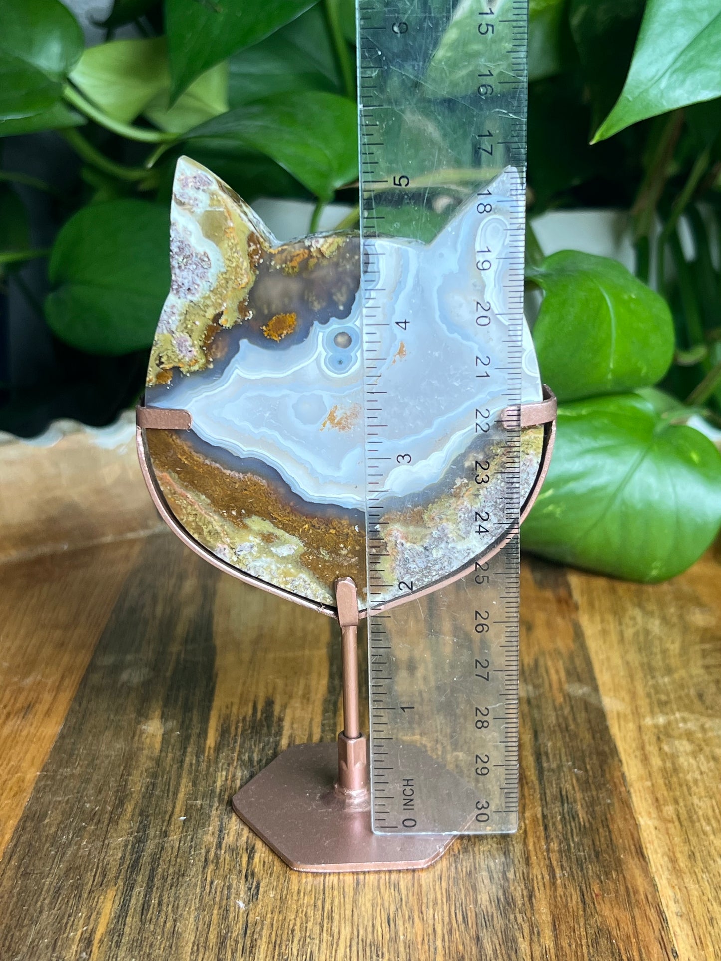 Scenic Moss Agate Cat Head