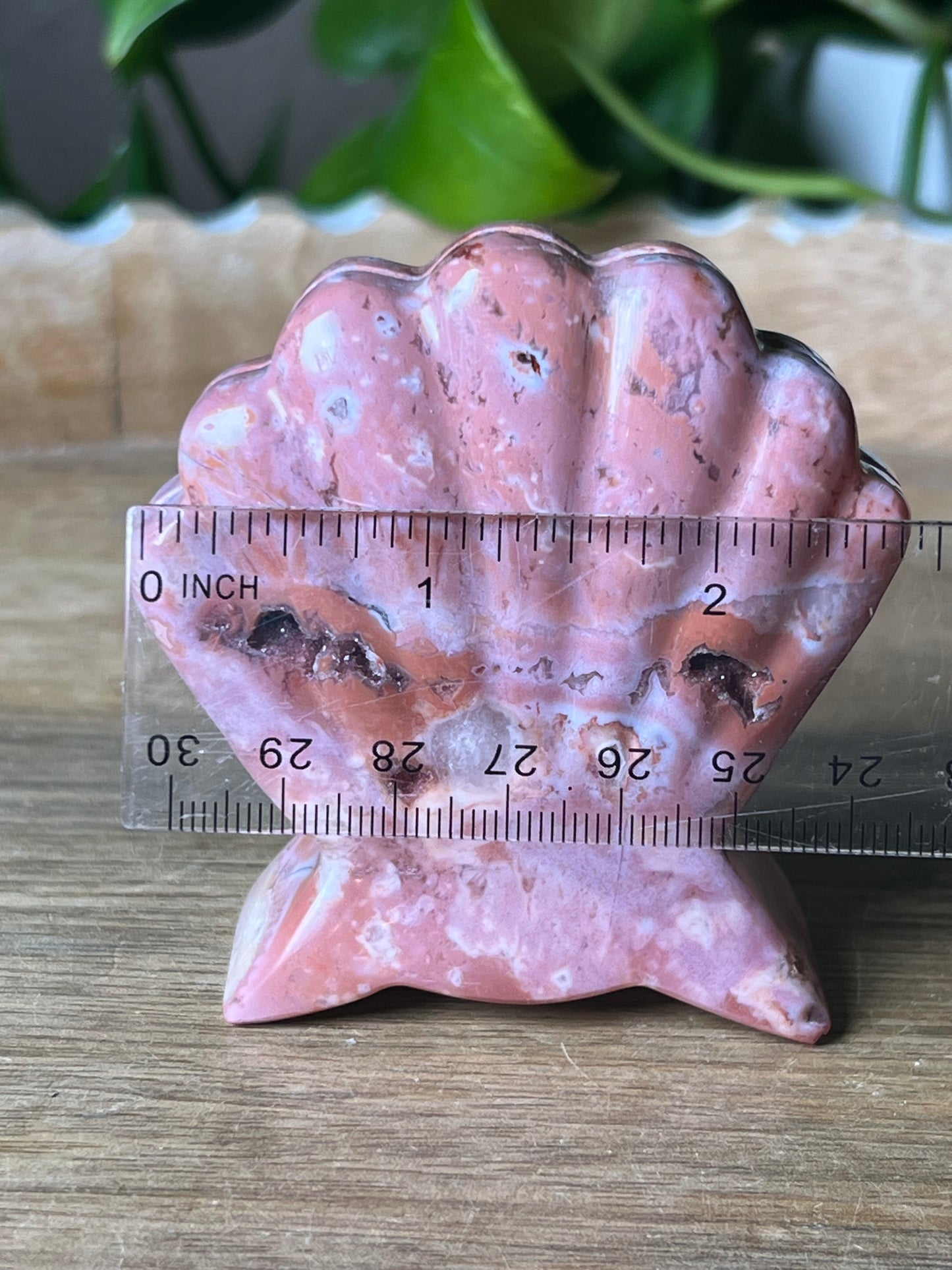 Pink Carnelian Shell