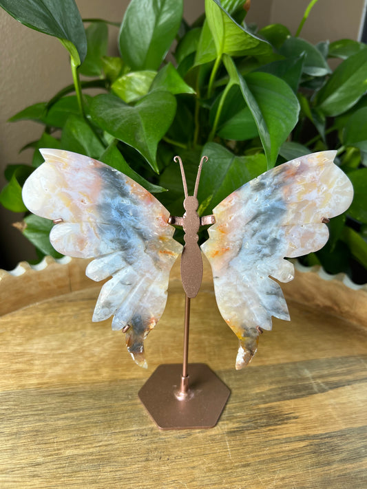 Rainbow Plume Agate Wings