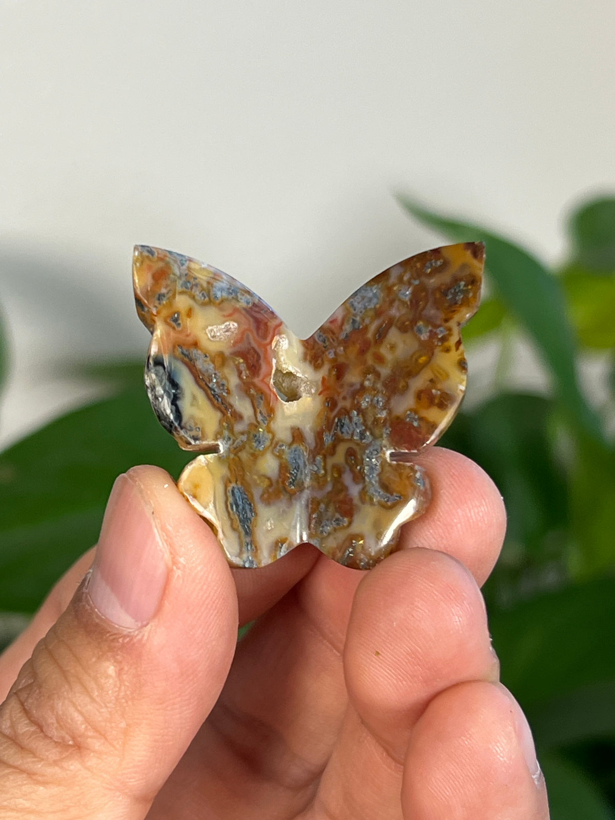 Marcasite 3D Mini Butterflies
