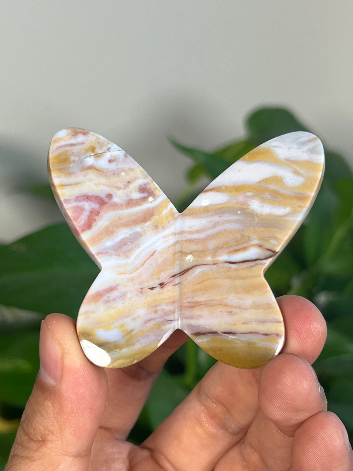 Milky River Jasper 3D Butterflies