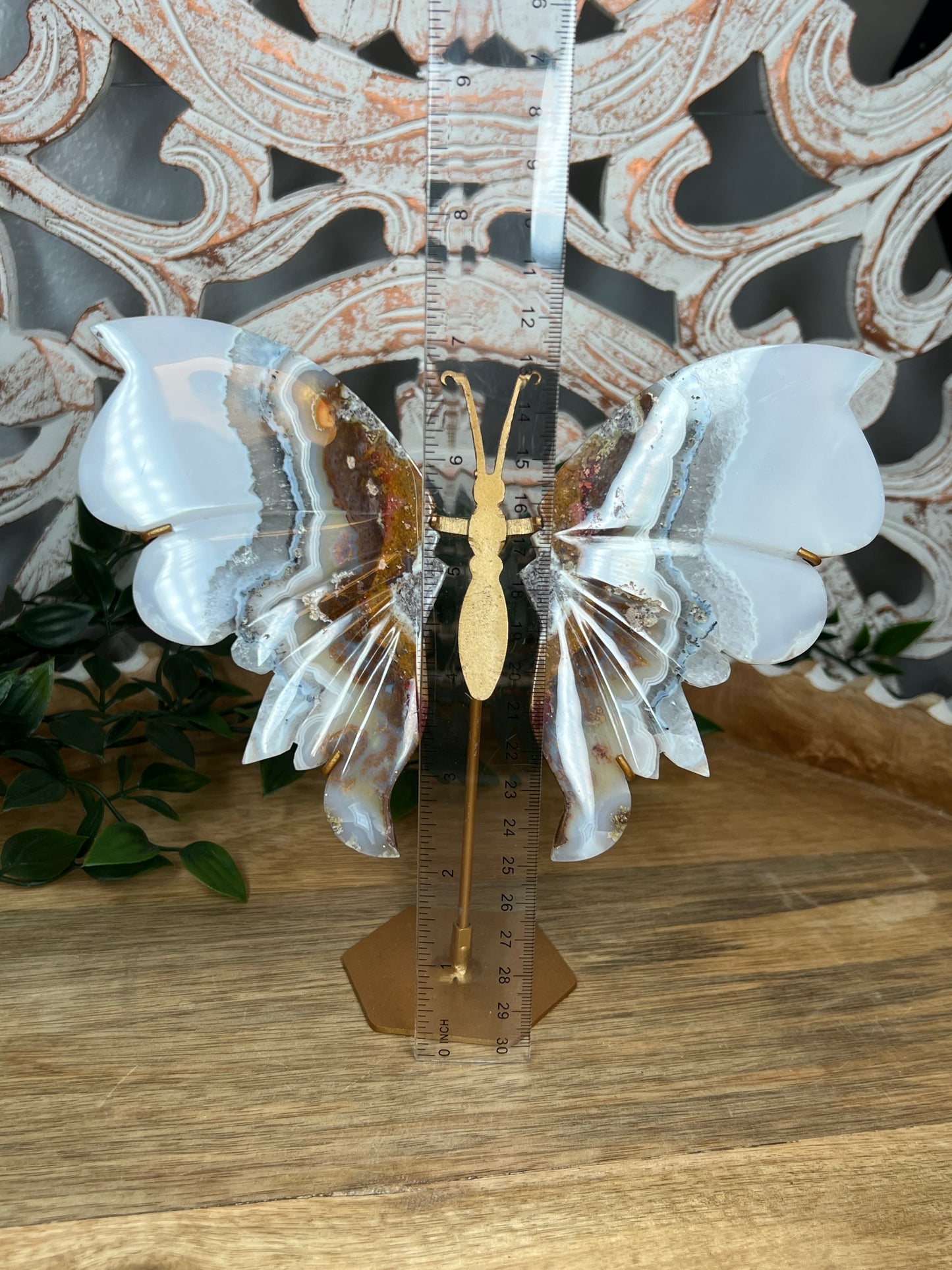 Scenic Moss Agate Wings