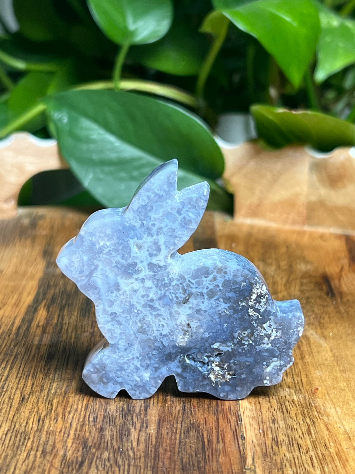 Blue Plume Agate Bunny: PC
