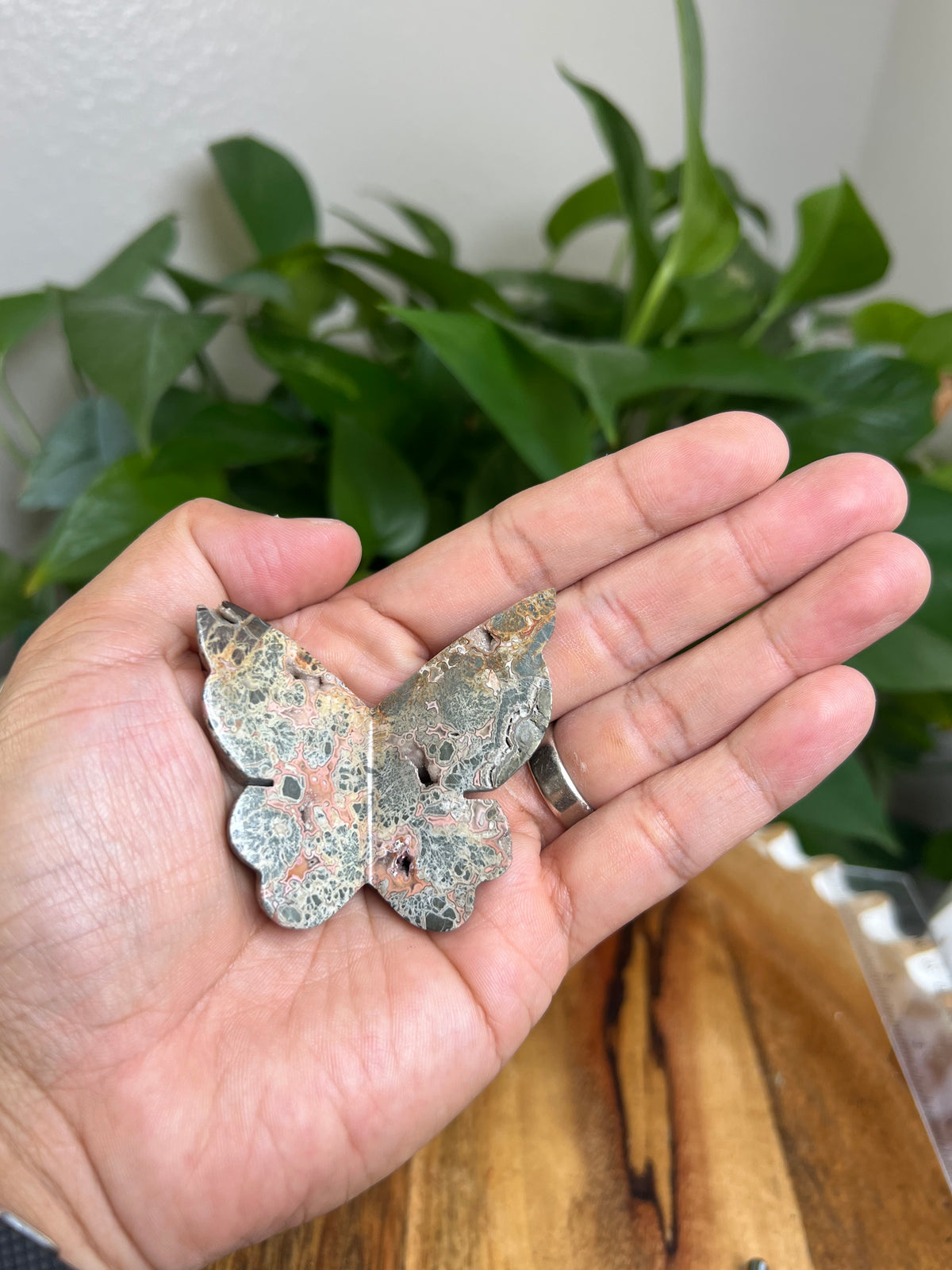 Marcasite 3D Butterfly: B