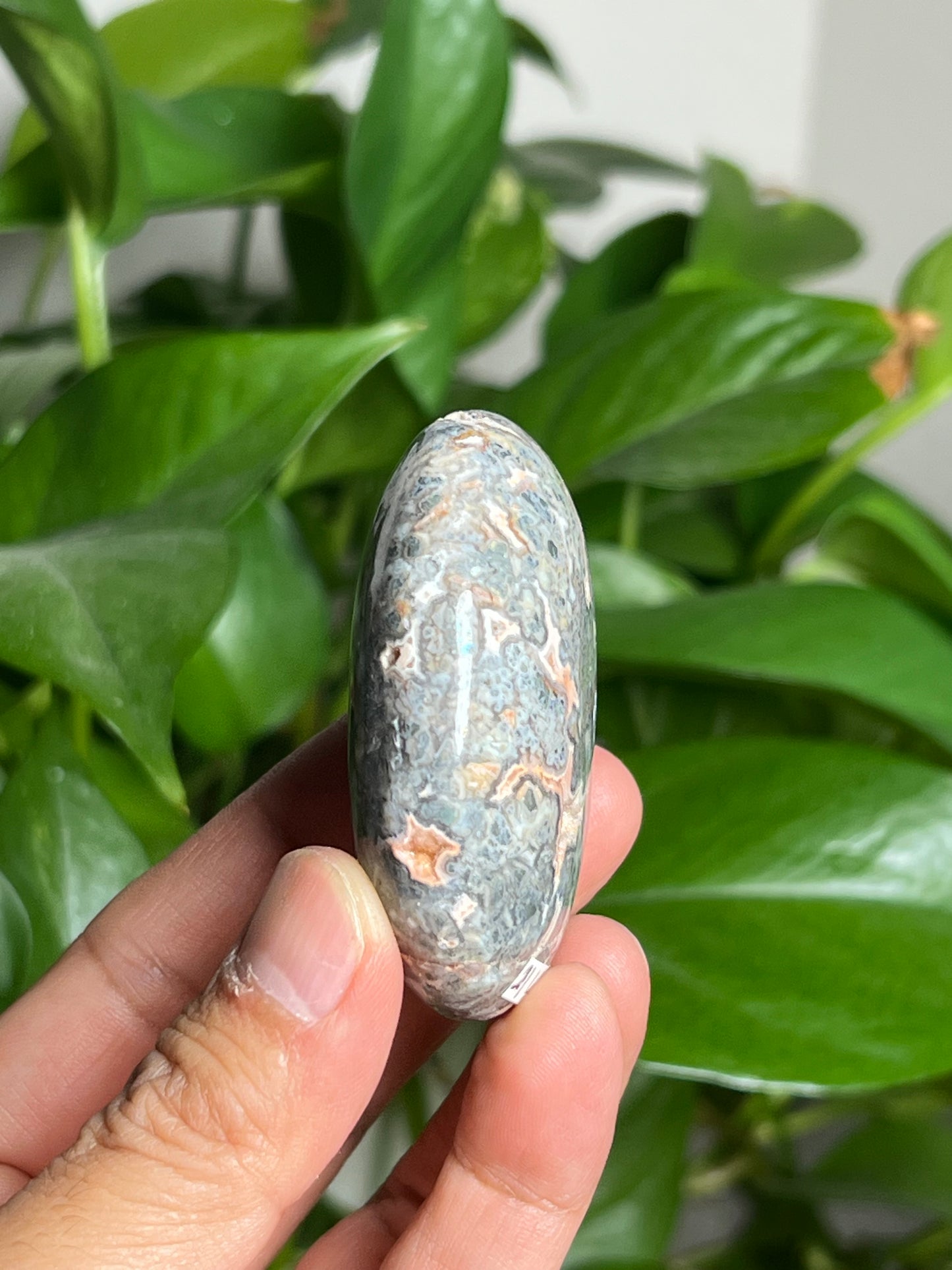 Marcasite Palmstone: LB