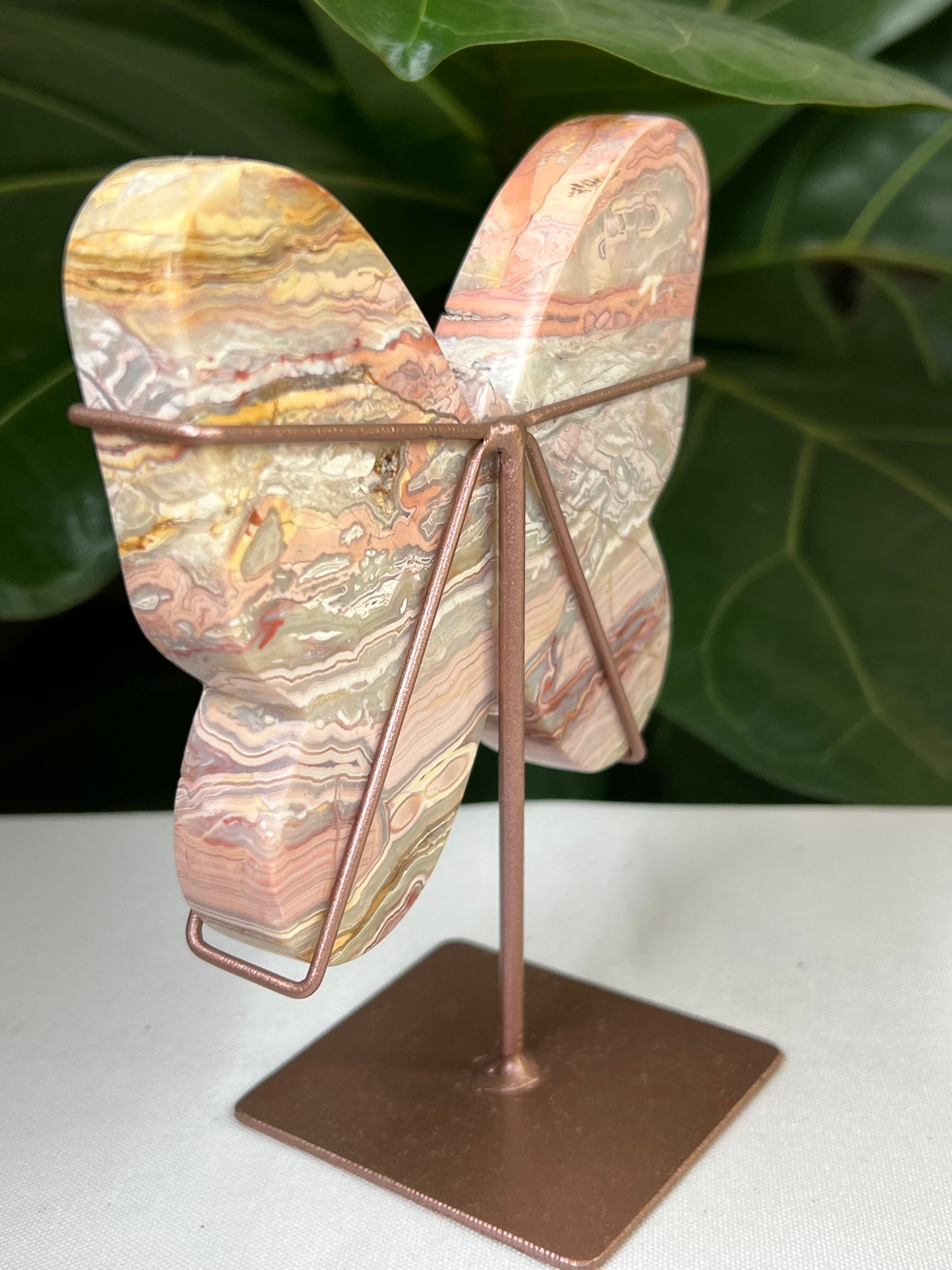 Crazy Lace Agate Butterfly