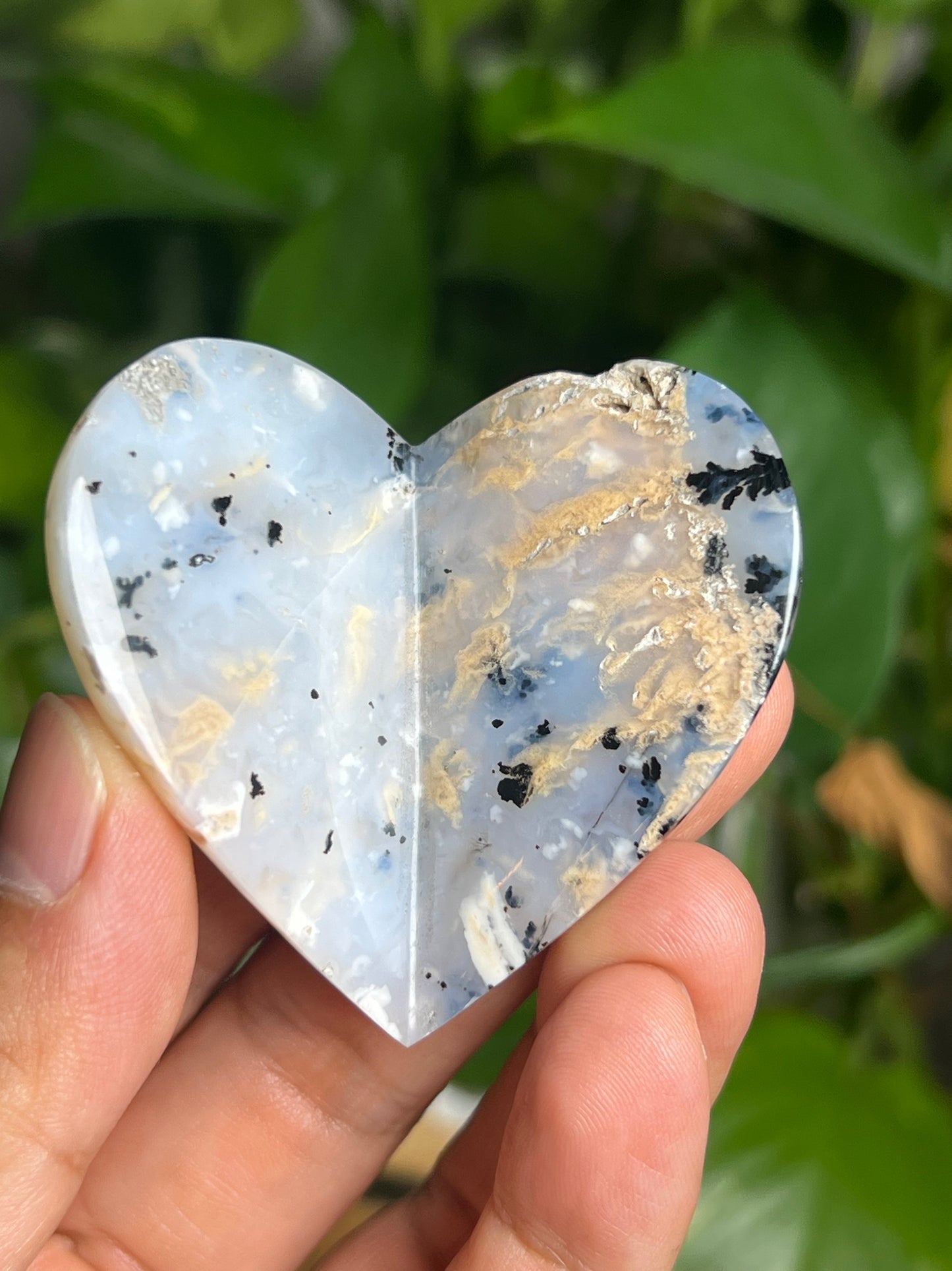 Dendritic Tiger Agate 3D Butterfly HB