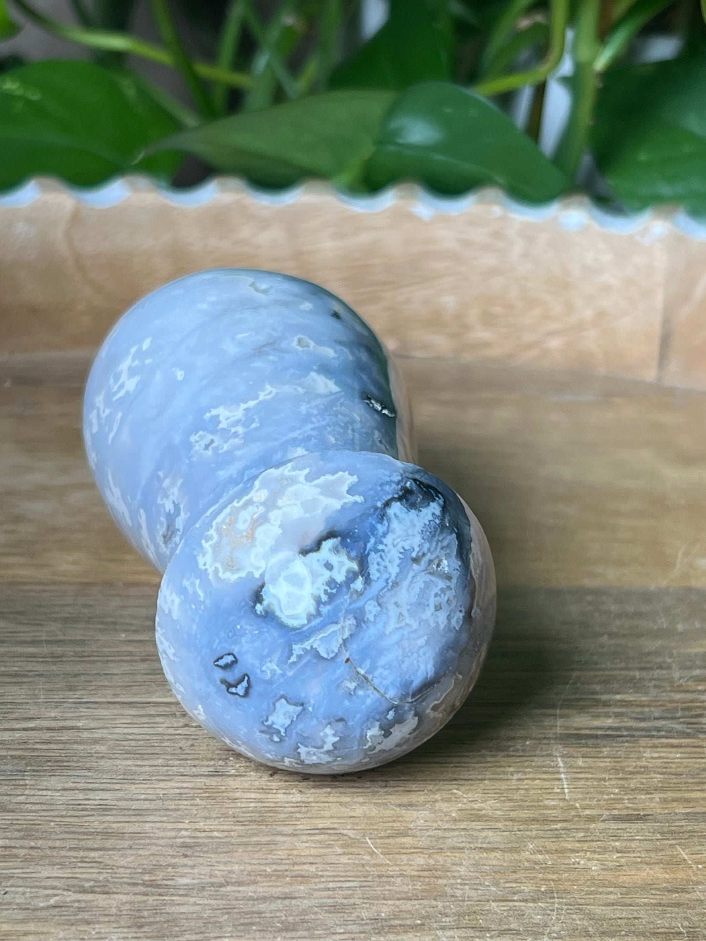 Blue Plume Agate Mushroom: PL