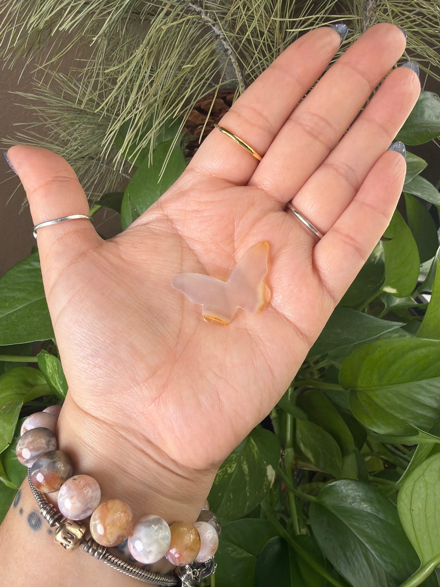 Iris Agate Butterfly Cabachon