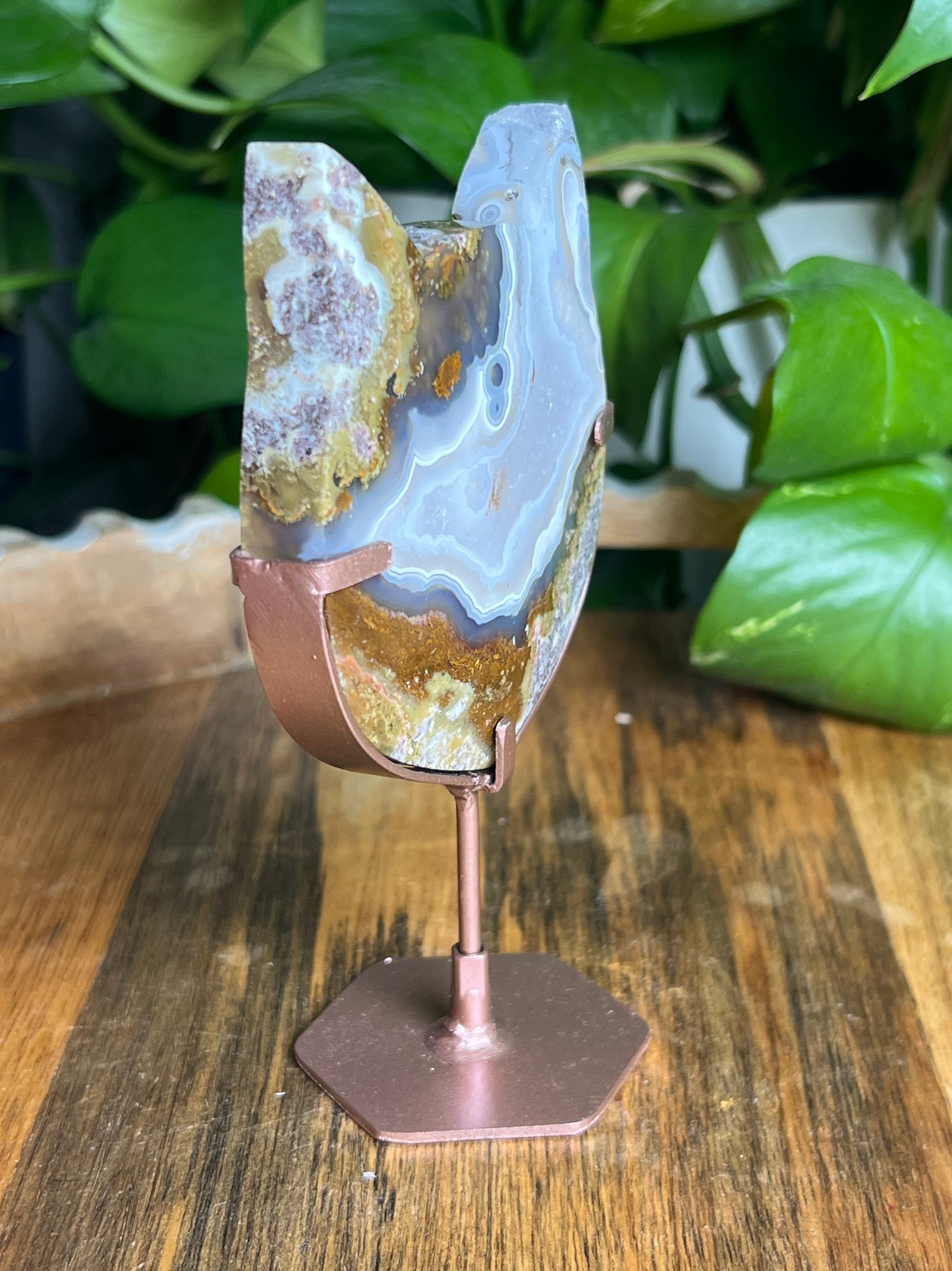 Scenic Moss Agate Cat Head