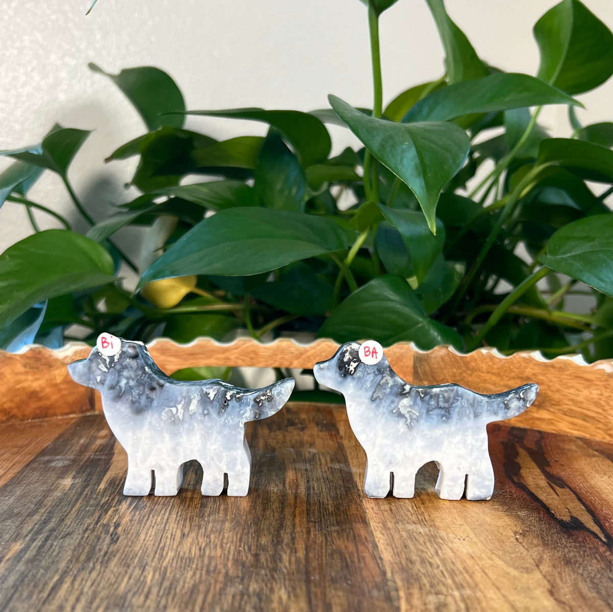 Blue Plume Agate Dogs