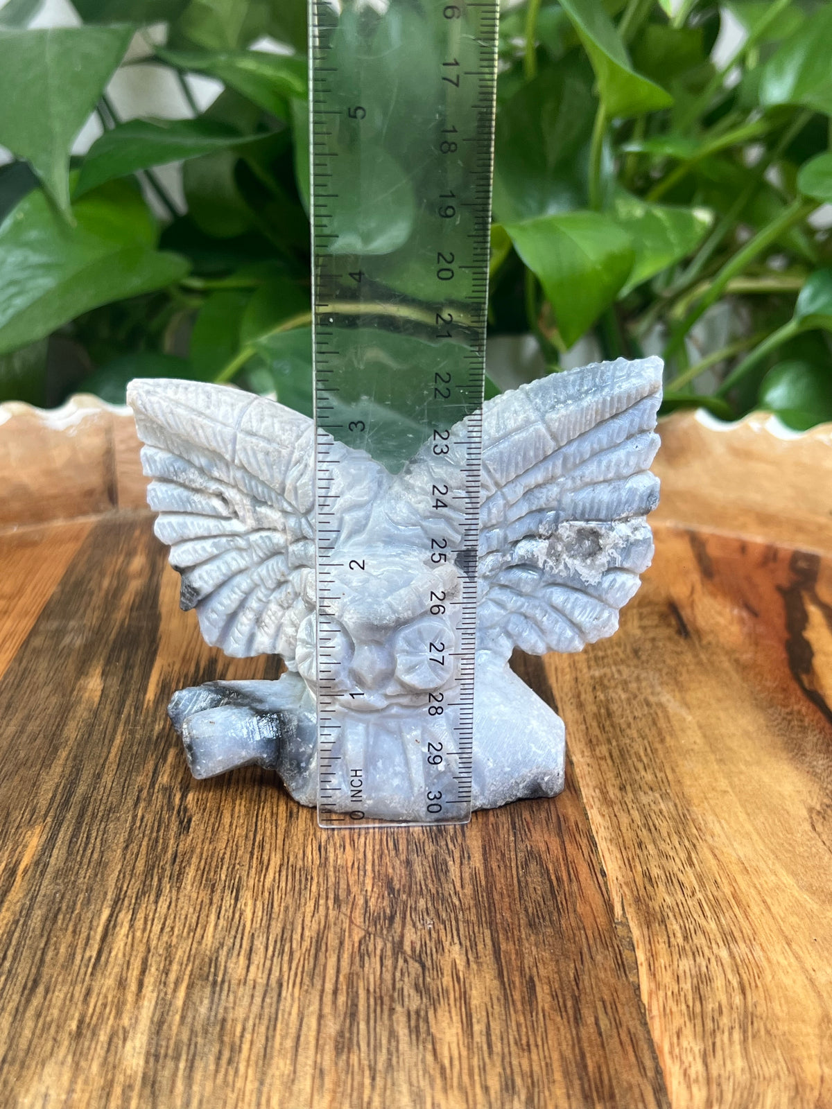 Blue Plume Agate Owl: XX