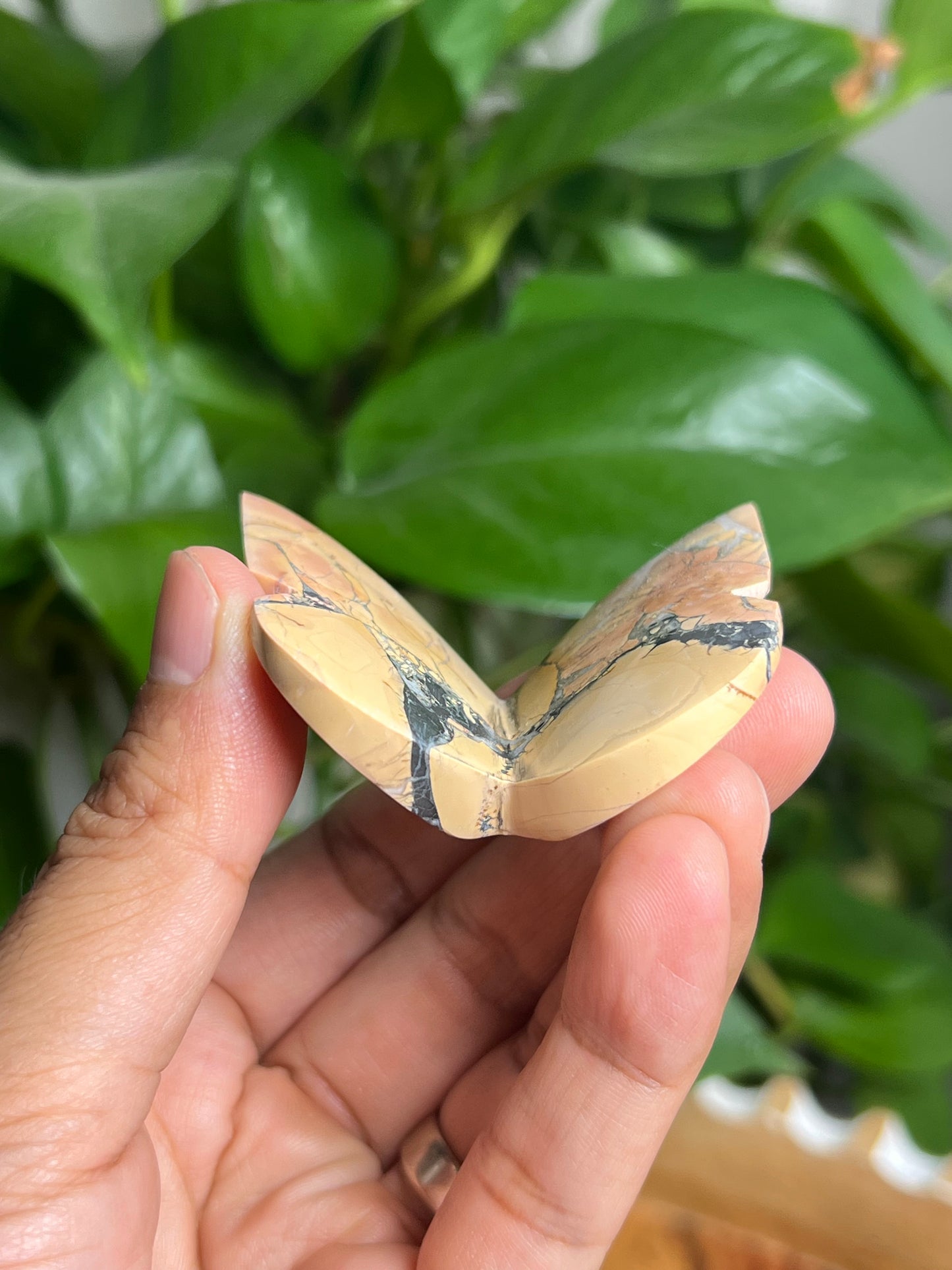 Maligano 3D Butterfly: AT