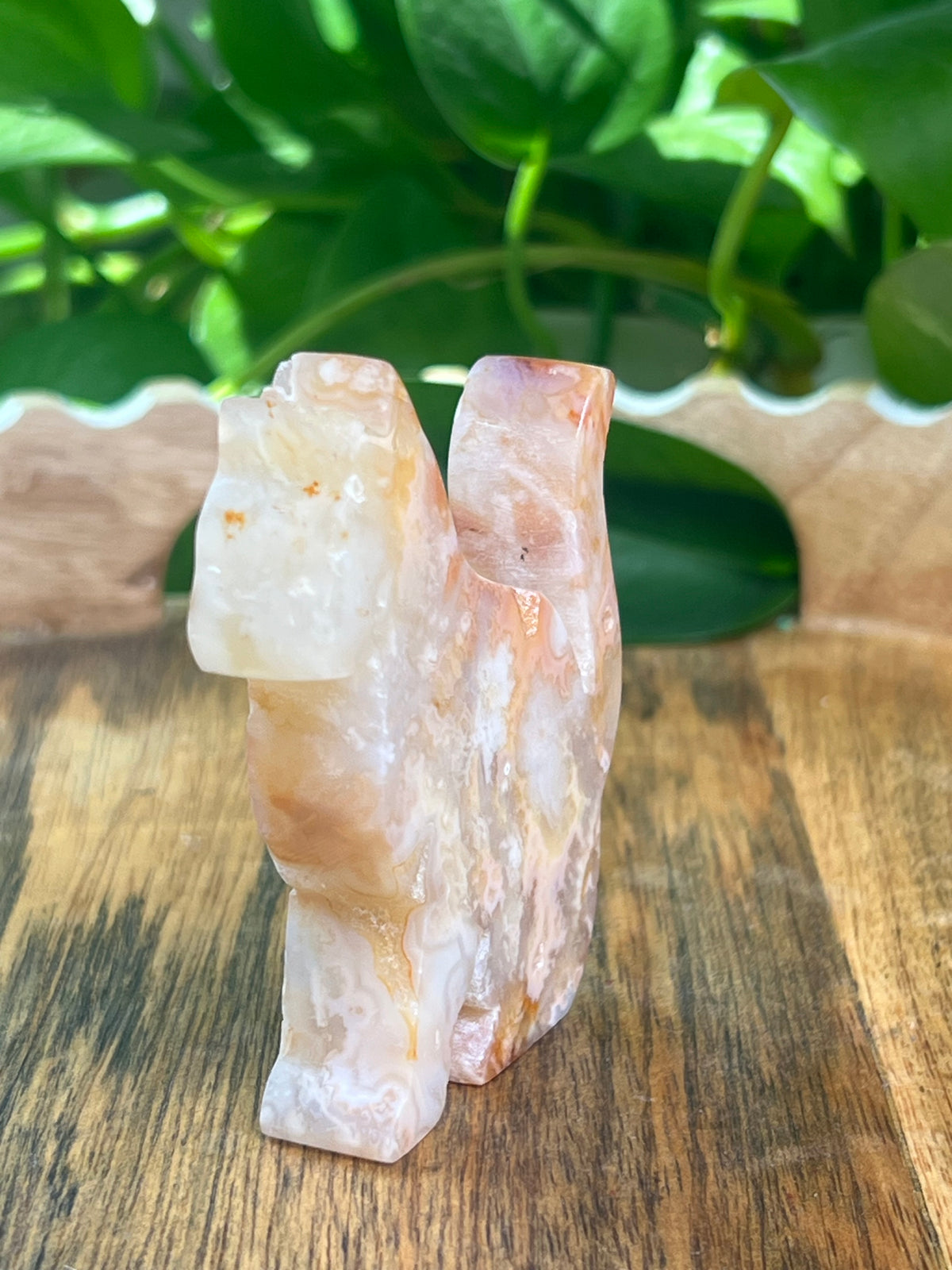 Carnelian Cat: PG