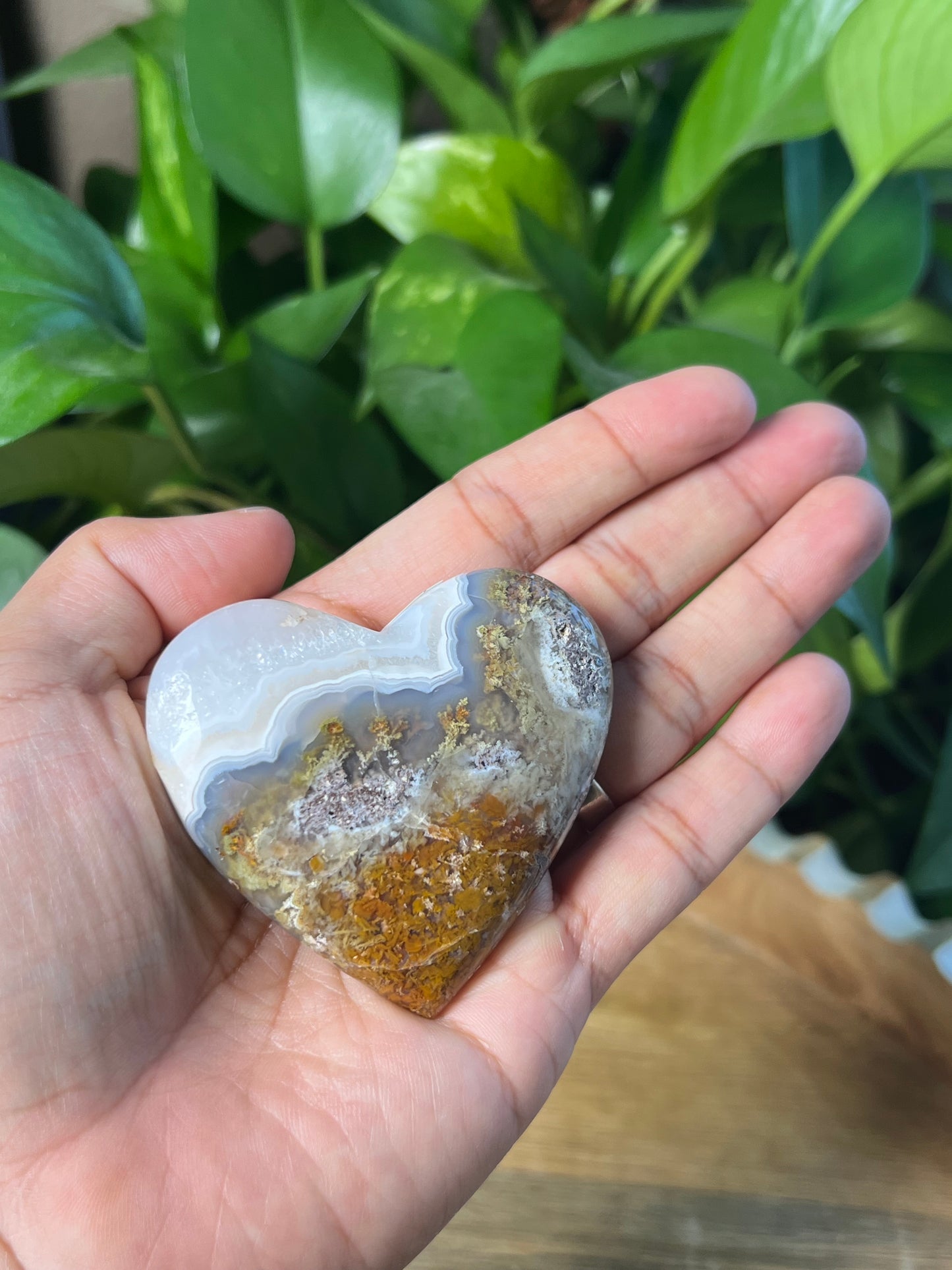 Scenic Moss Agate Heart