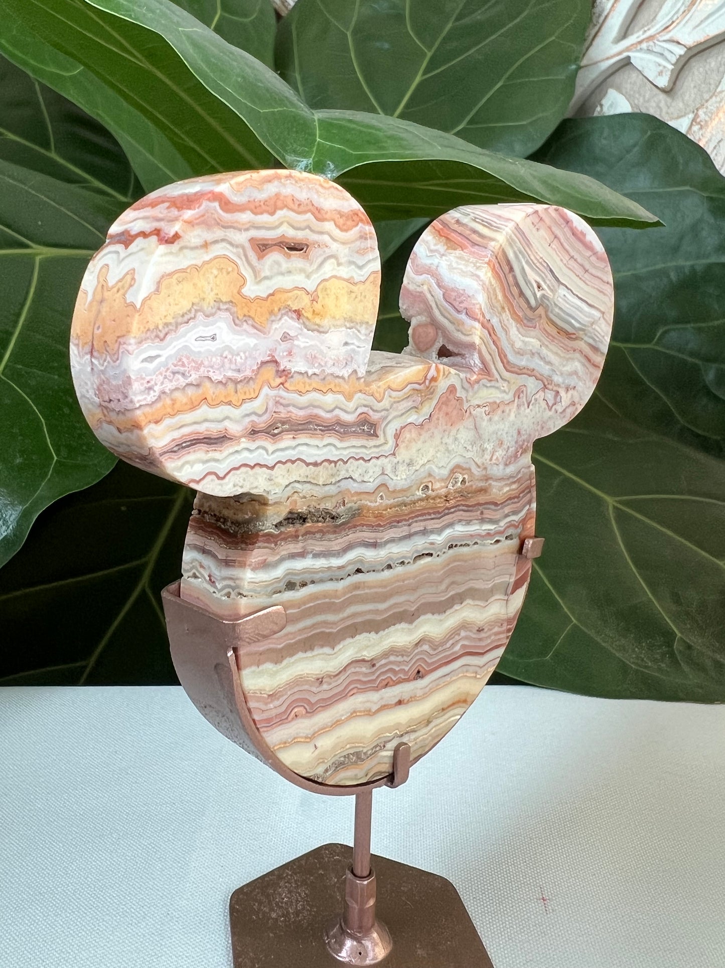 Crazy Lace Agate Bear Head