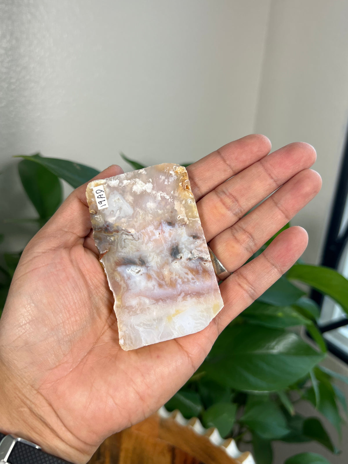 Rainbow Plume Agate Slabs