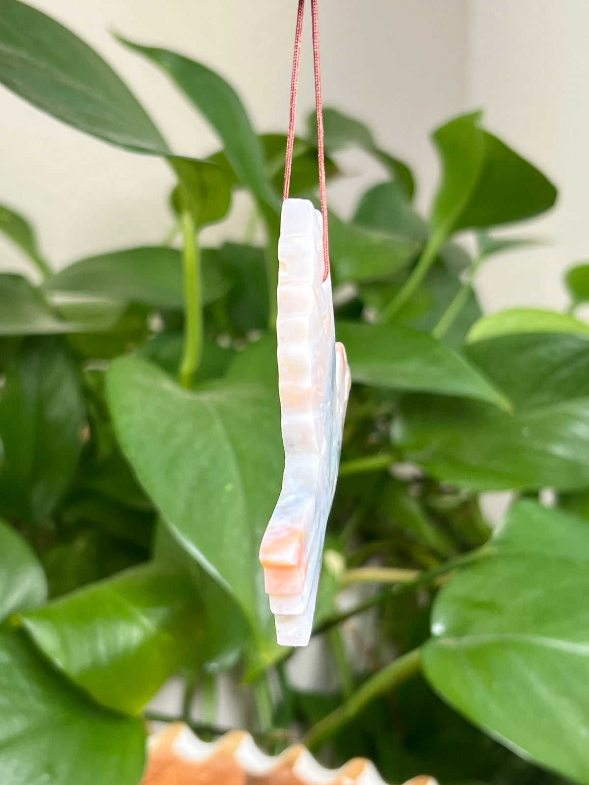 Rainbow Plume Agate Hummingbird: LA