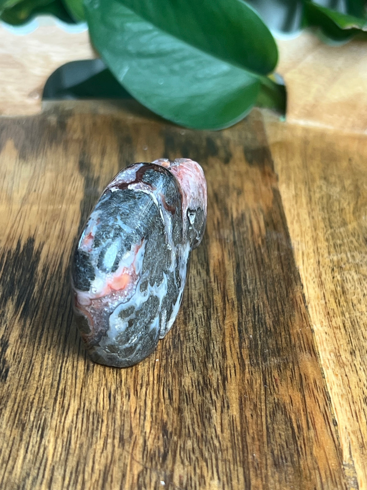 Marcasite Mini Buffalo: MC