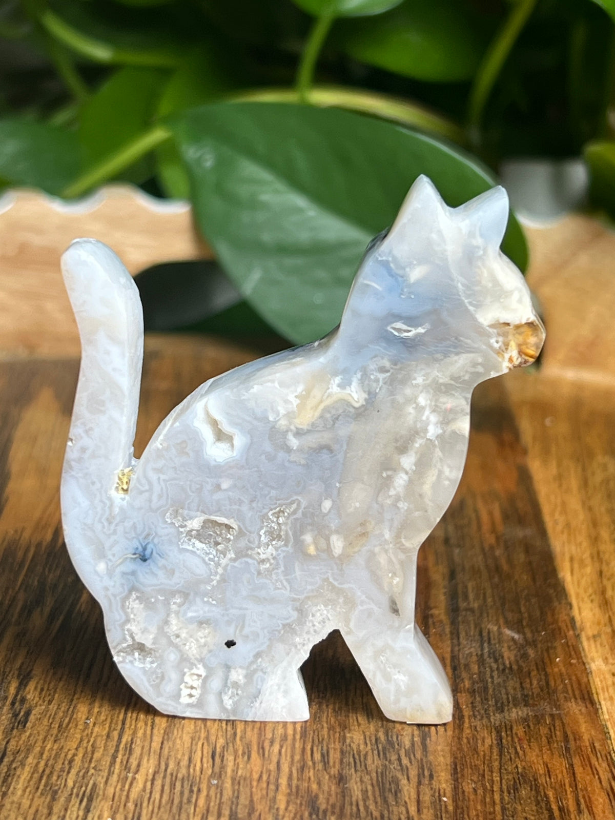 Dendritic Tiger Agate Cat: PE