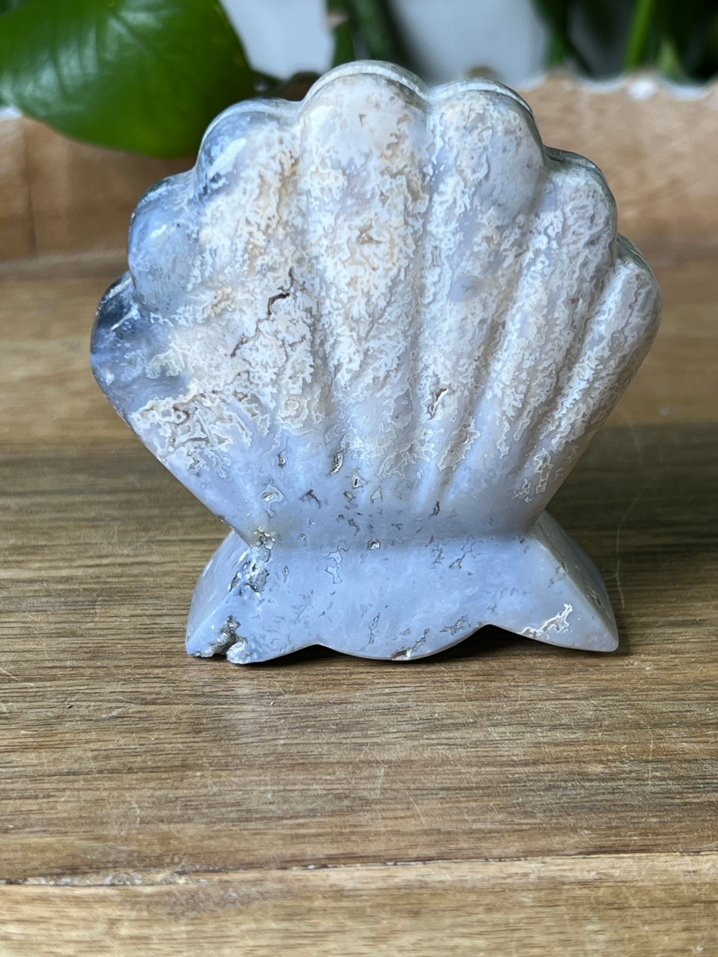 Blue Plume Agate Shell