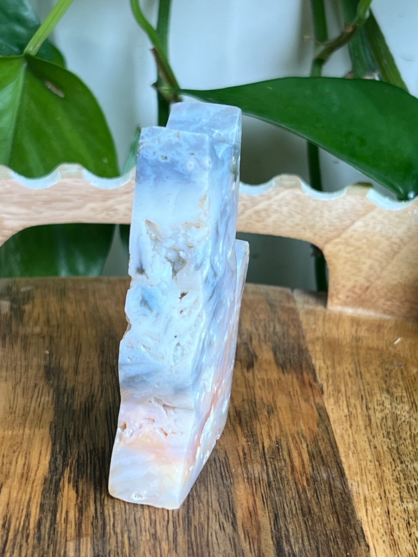 Rainbow Plume Agate Cat NH