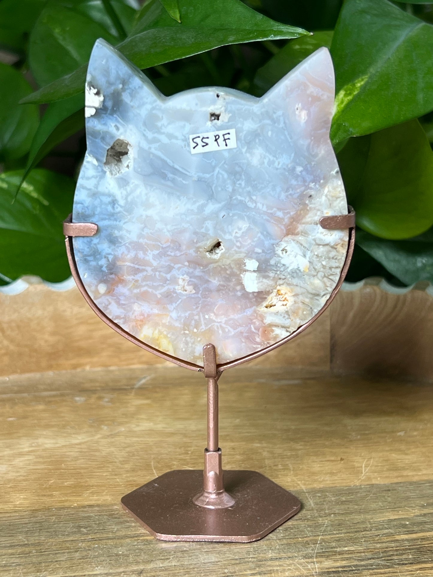 Rainbow Plume Agate Cat Head