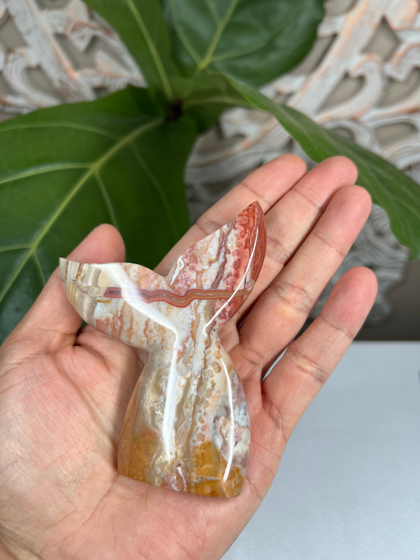 Milky Jasper Tail