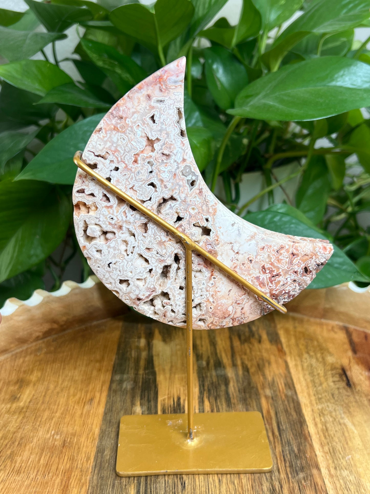 Crazy Lace Agate Moon: XT