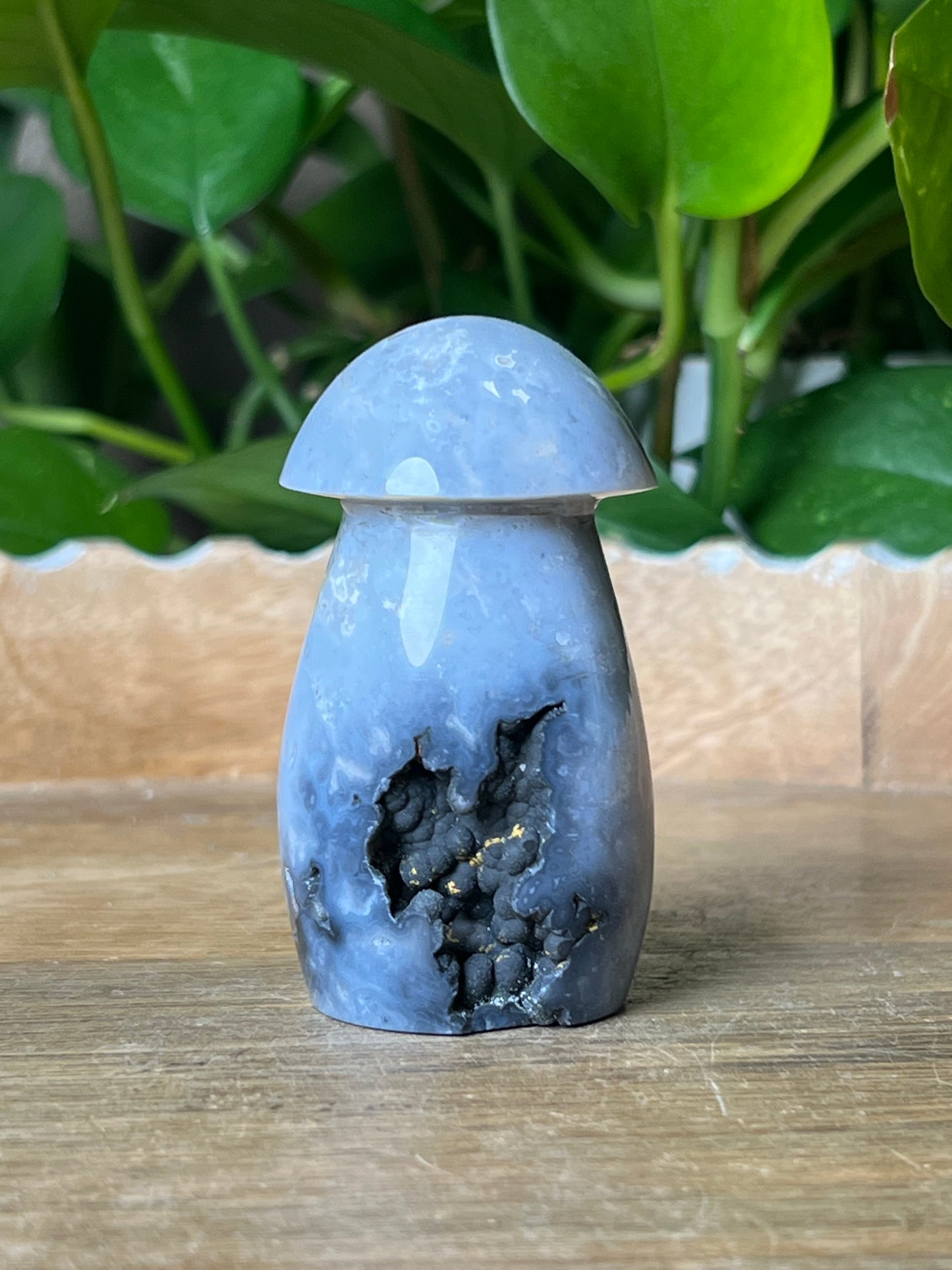 Blue Plume Agate Mushroom: ZB