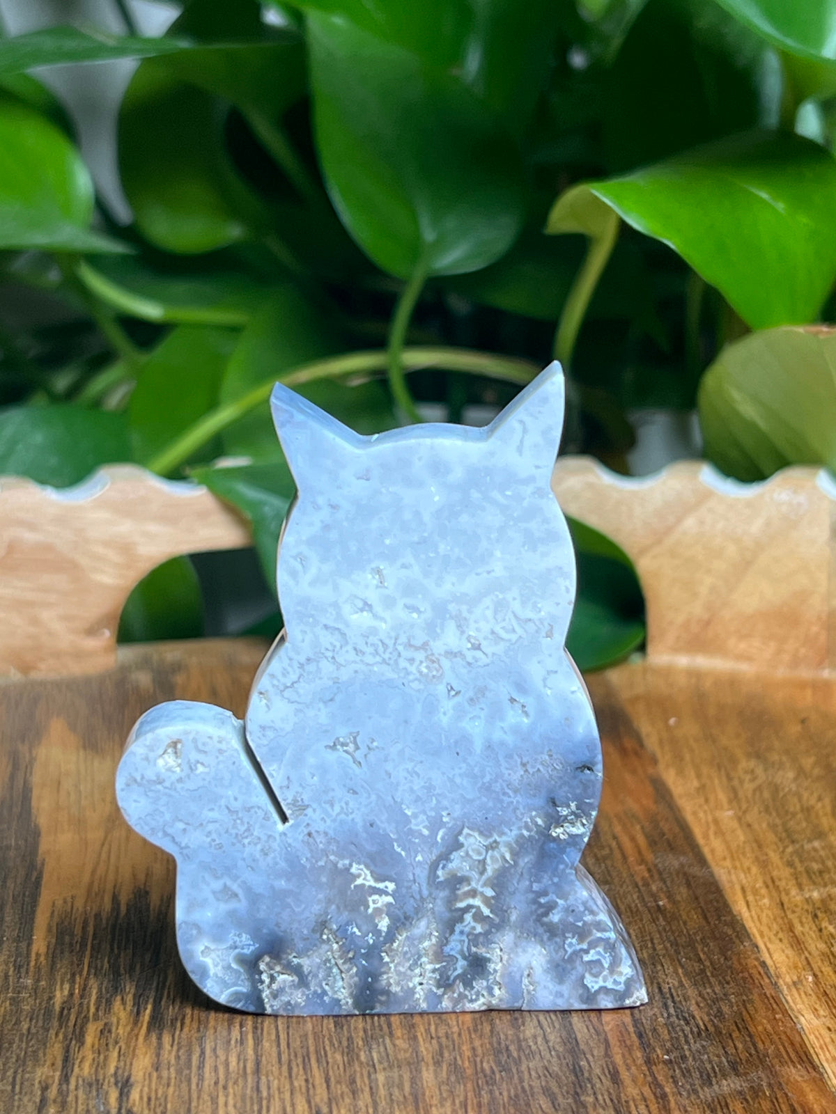 Blue Plume Agate Cat: BK