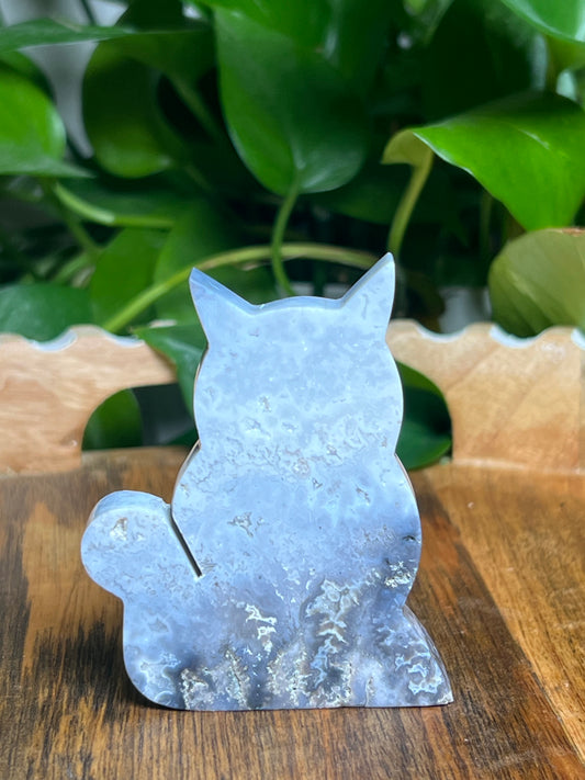 Blue Plume Agate Cat: BK