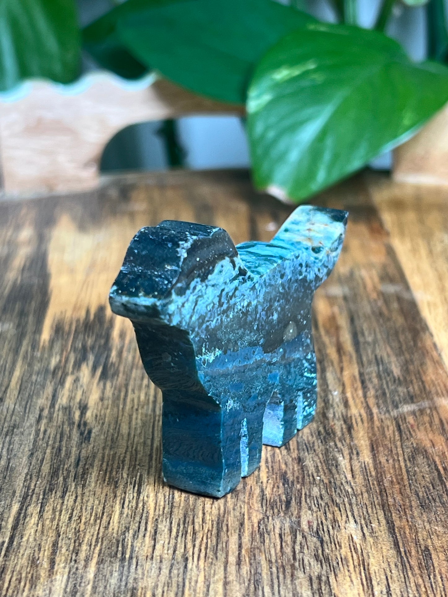 Blue Green Jasper Dog: BC