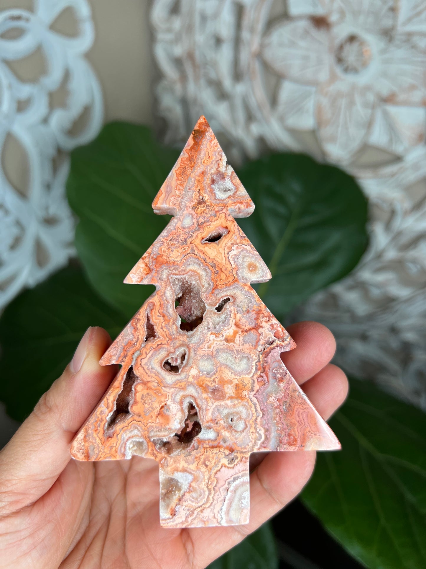 Crazy Lace Agate Tree