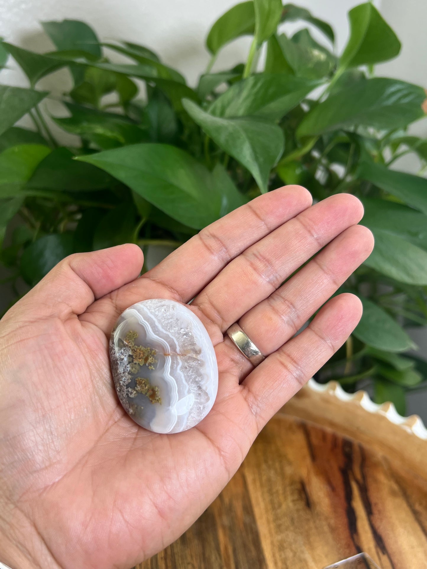 Scenic Moss Agate Palmstone: BE