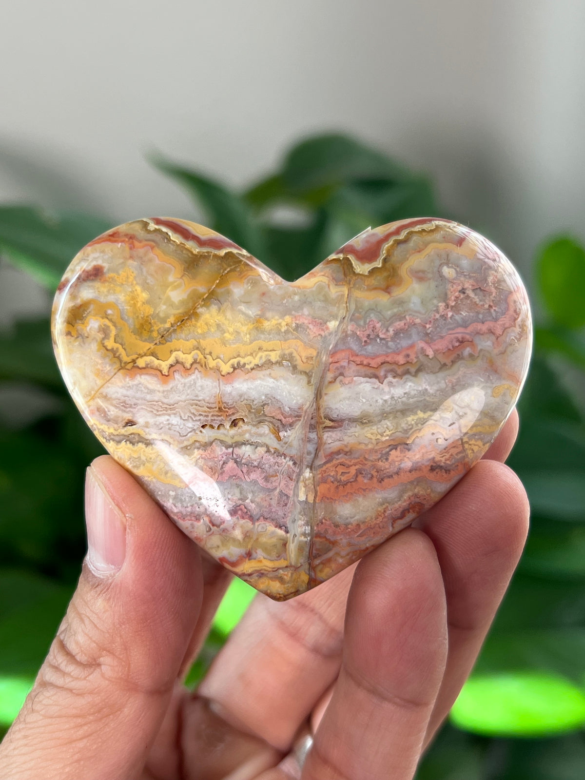 Crazy Lace Agate Small Puffy Moons